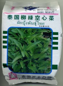 供应泰国柳绿空心菜—蕹菜种子