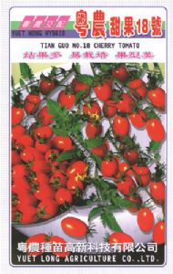 供应粤晨甜果18号—番茄种子