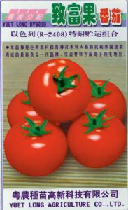 供应致富果—番茄种子