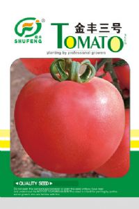 供应金丰三号—番茄种子