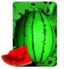 供应早春秀玉F1(大果早春红玉类型）—西瓜种子