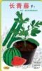 供应长青藤—西瓜、黄瓜专用嫁接砧木种子