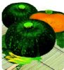 供应绿皮南瓜博雅一号F1—南瓜种子
