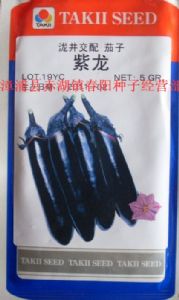 供应日本原装进口泷井交配紫龙茄子种子