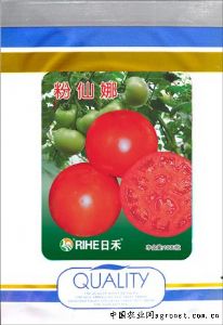供应粉仙娜—番茄种子