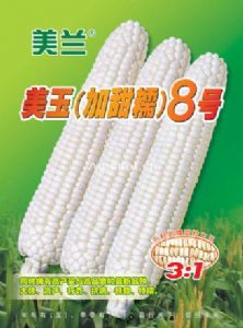 供应美玉（加甜糯）8号—玉米种子