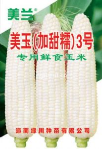 供应美玉（加甜糯）3号—玉米种子
