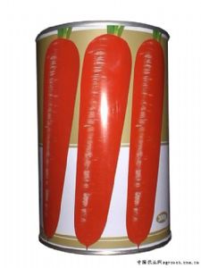 供应300克进口精品红贵208—胡萝卜种子