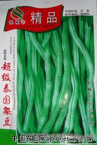 供应超级泰国架豆—菜豆种子