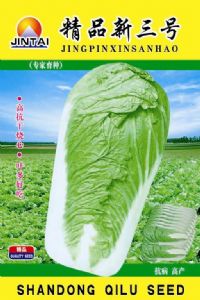 供应精品新三号—白菜种子