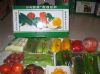 供应箱装蔬菜番茄—优质蔬菜