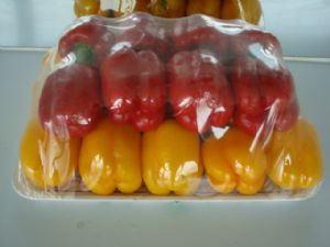 供应优质彩椒—优质蔬菜