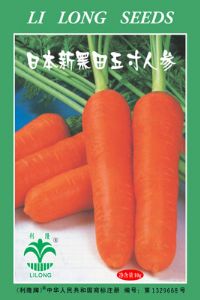 日本新黑田五寸人参——葫萝卜种子