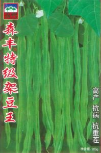 供应森丰特级架芸豆王—菜豆种子