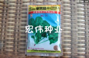 供应东京绿—菠菜种子