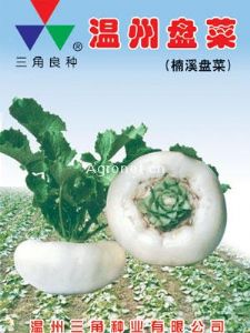 供应温州盘菜—芥菜种子