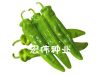 供应绿剑65—辣椒种子