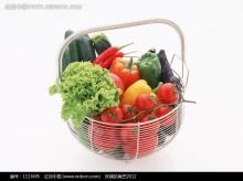 供应优质蔬菜