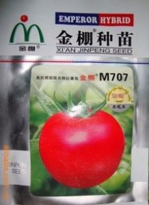 供应M707-番茄种子