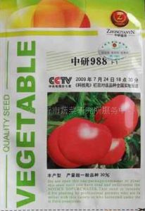 供应中研988F1-番茄种子