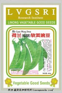 供应【正源】荷兰改良软荚（688）—豌豆种子