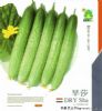 供应旱莎—黄瓜种子