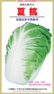 供应夏抗—白菜种子