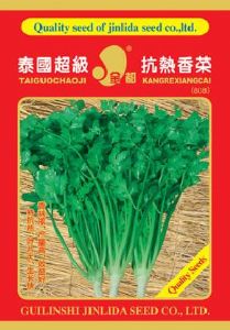 供应泰国超级抗热—香菜种子