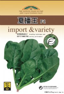 供应夏播王F1-188 (耐热菠菜)-菠菜种子