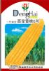 供应西星黄糯6号——玉米种子
