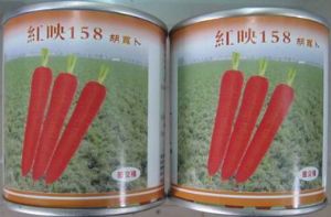 供应红参158—胡萝卜种子
