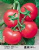 供应盛润168—粉果番茄种子