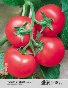 供应盛润168—粉果番茄种子