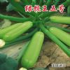 供应绿抗王五号—西葫芦种子