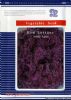 供应紫冠—紫生菜种子