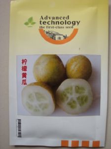 供应柠檬黄瓜—黄瓜种子