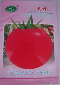 供应美好番茄—番茄种子