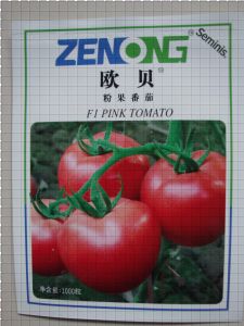 供应欧贝西红柿—番茄种子