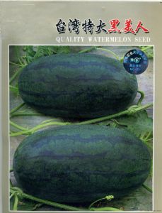供应台湾特大黑美人F1—西瓜种子