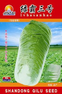 供应绿霸三号—白菜种子