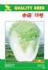 供应申萌19号—白菜种子