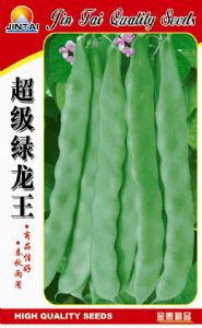 供应超级绿龙王—架豆种子