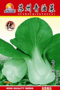 供应苏州青油菜—油菜种子