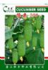 供应恒杂208F1—黄瓜种子