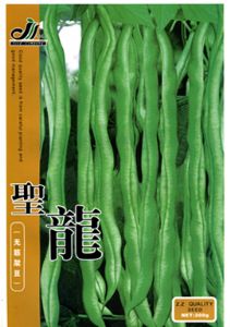 供应聖龍(无筋架豆)-菜豆种子