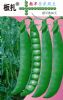 供应—板扎十粒早—豌豆种子