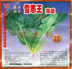 供应“啸龙银”雪寒王(耐寒型菠菜)—菠菜种子