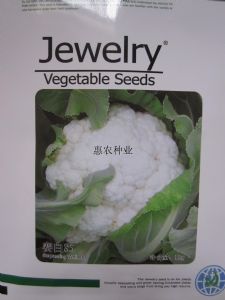 供应赛白85—花椰菜种子