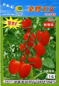 供应金鹤玉女—番茄种子