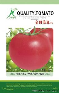 供应金田美冠—番茄种子